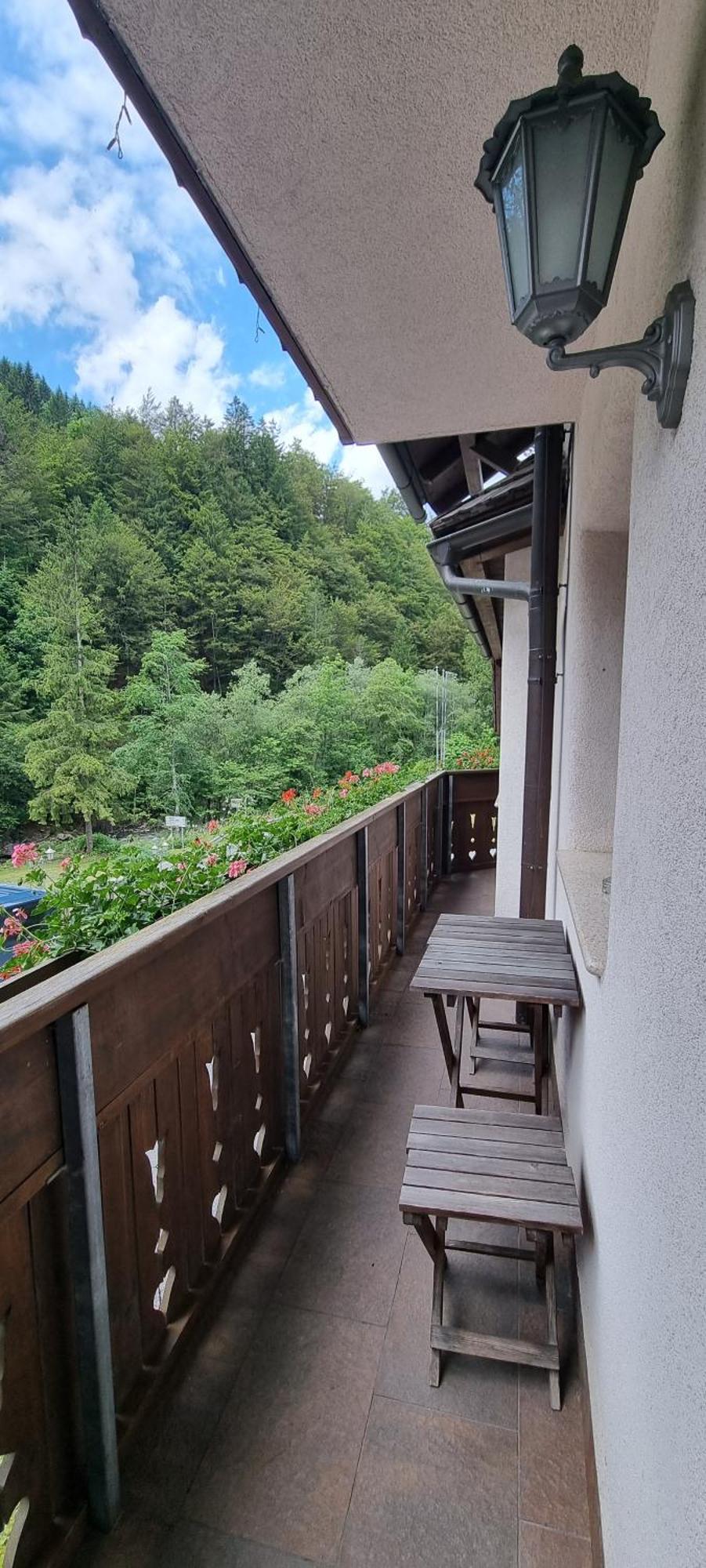 Apartments Pod Macesnovo Streho Solčava Eksteriør billede